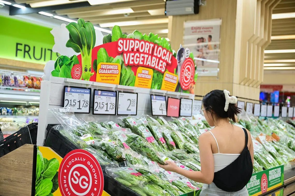 A shopper choosing locally grown vegetables in a supermarket